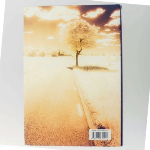 Lewis rejse : roman af Per Olov Enquist (Bog)