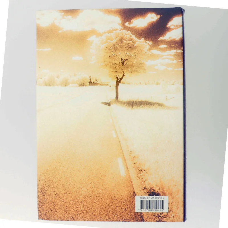 Lewis rejse : roman af Per Olov Enquist (Bog)