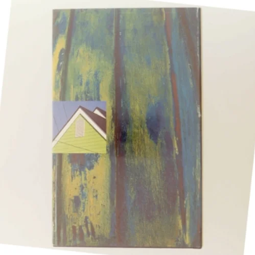 Anita Shreve, Passion