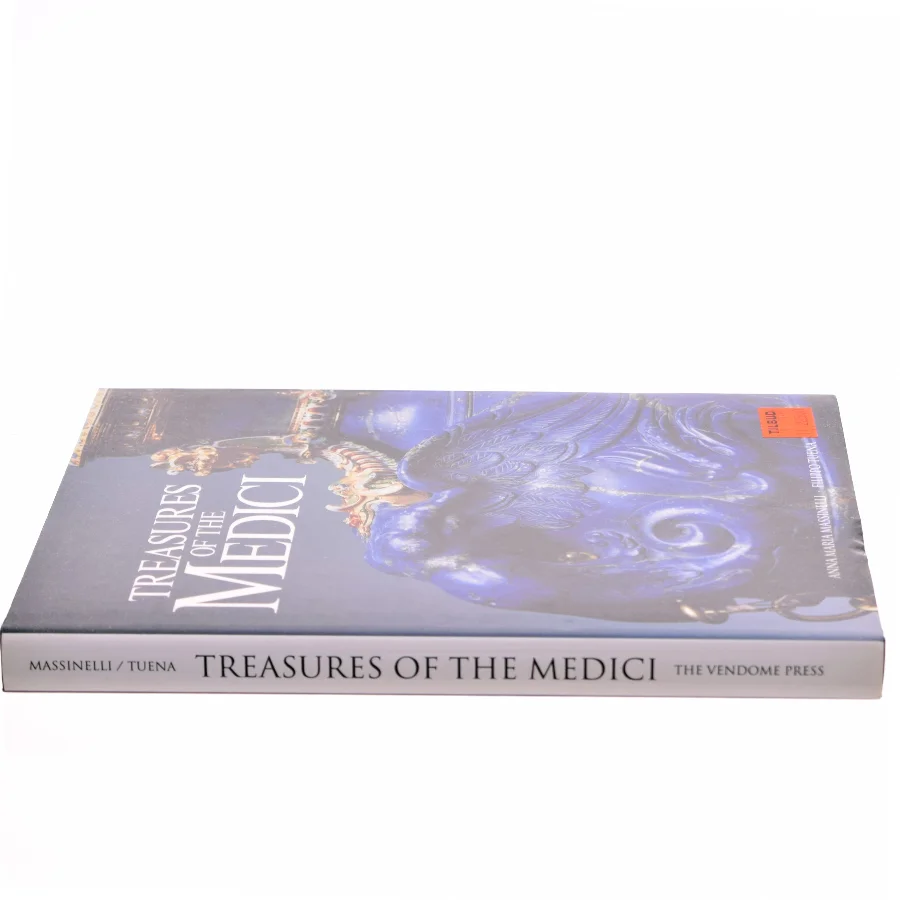 Treasures of the Medici af Anna Maria Massinelli, Filippo M. Tuena (Bog)