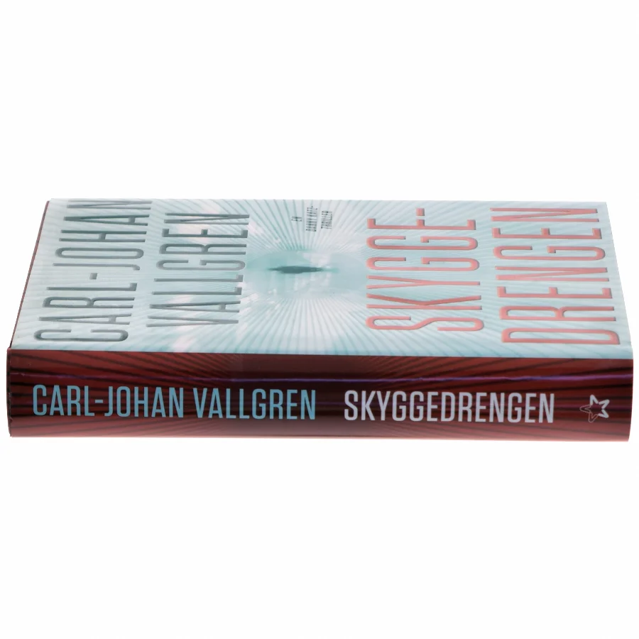 Skyggedrengen af Carl-Johan Vallgren (Bog)