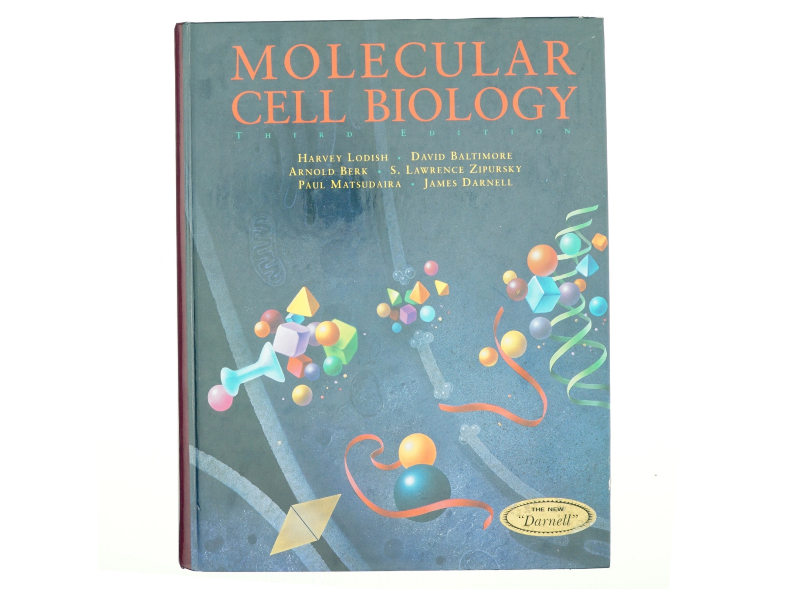 Molecular cell biology (Bog)