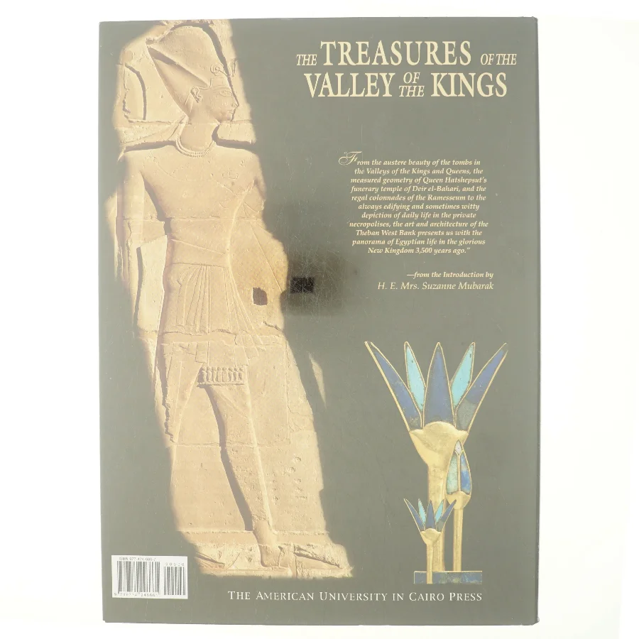 the treasures of bthe valley of the kings : tombs and temples of the theban west bank in luxor af Kent R. Weeks (Bog)