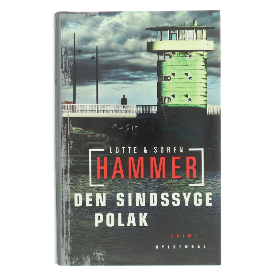 Den sindssyge polak : kriminalroman af Lotte Hammer (Bog)
