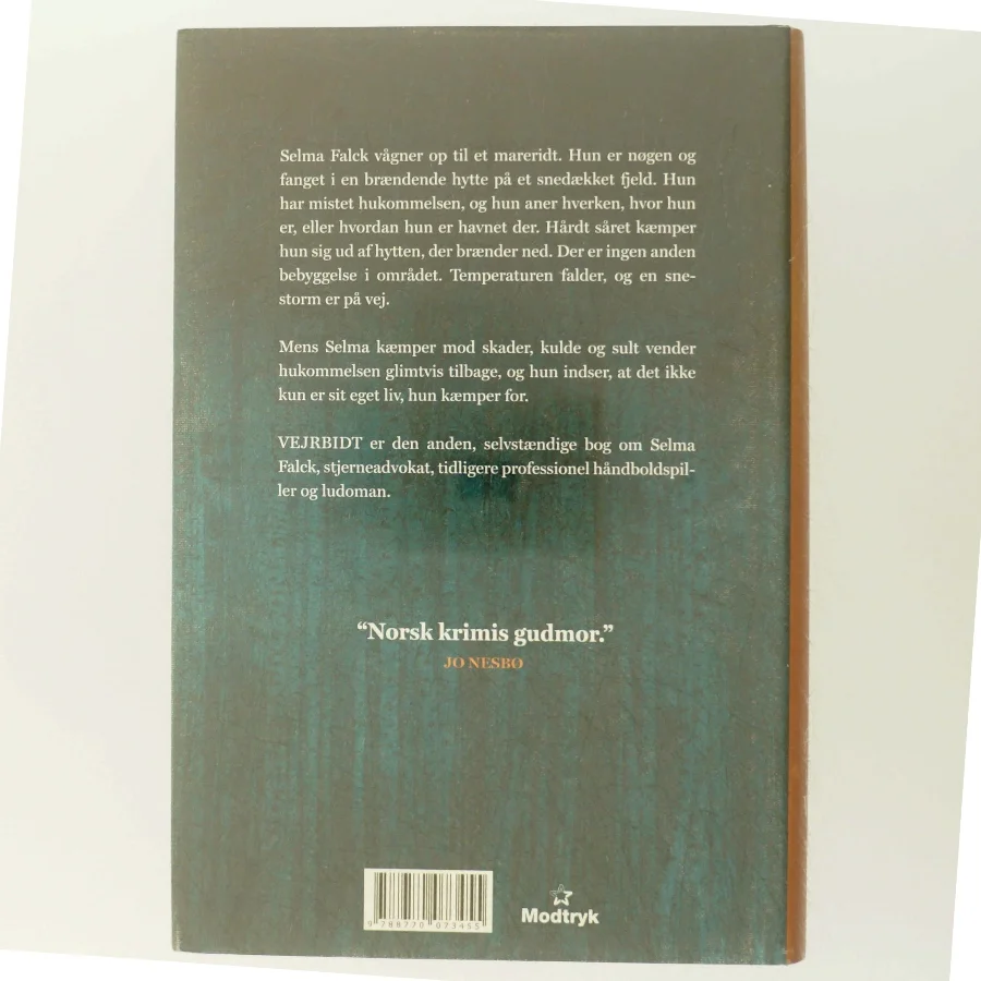 'Vejrbidt: Selma Falcks anden store sag' af Anne Holt (f. 1958-11-16) (bog)