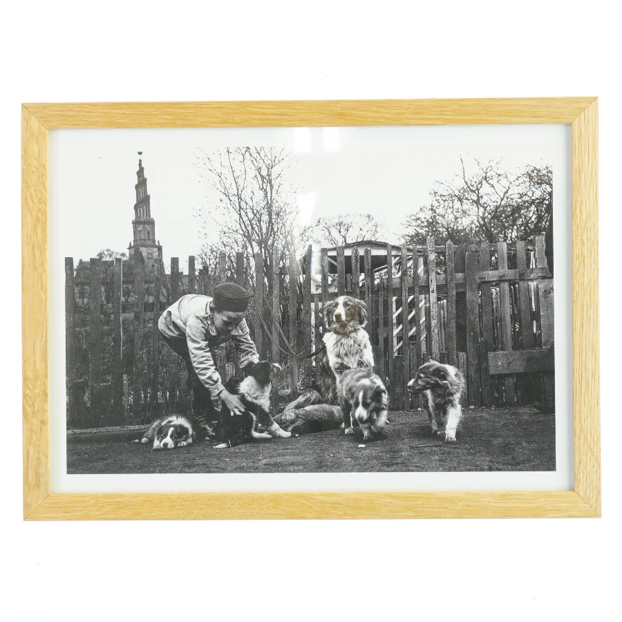 Indrammet sort-hvid fotografi fra Nielsen (str. 21x29,7 cm)
