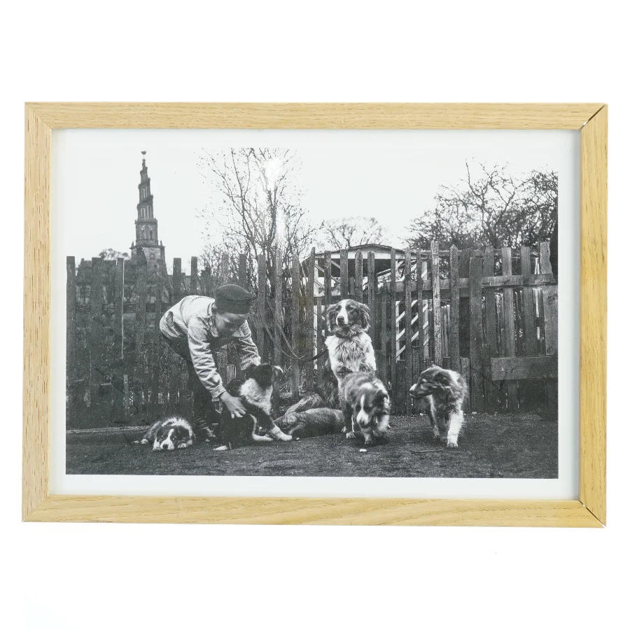 Indrammet sort-hvid fotografi fra Nielsen (str. 21x29,7 cm)
