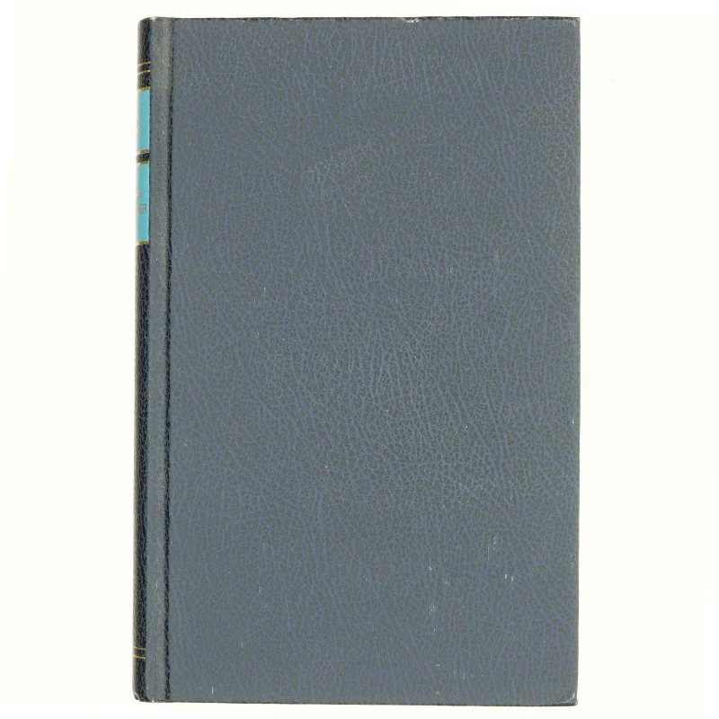 Et barn forsvinder, Mary Napier