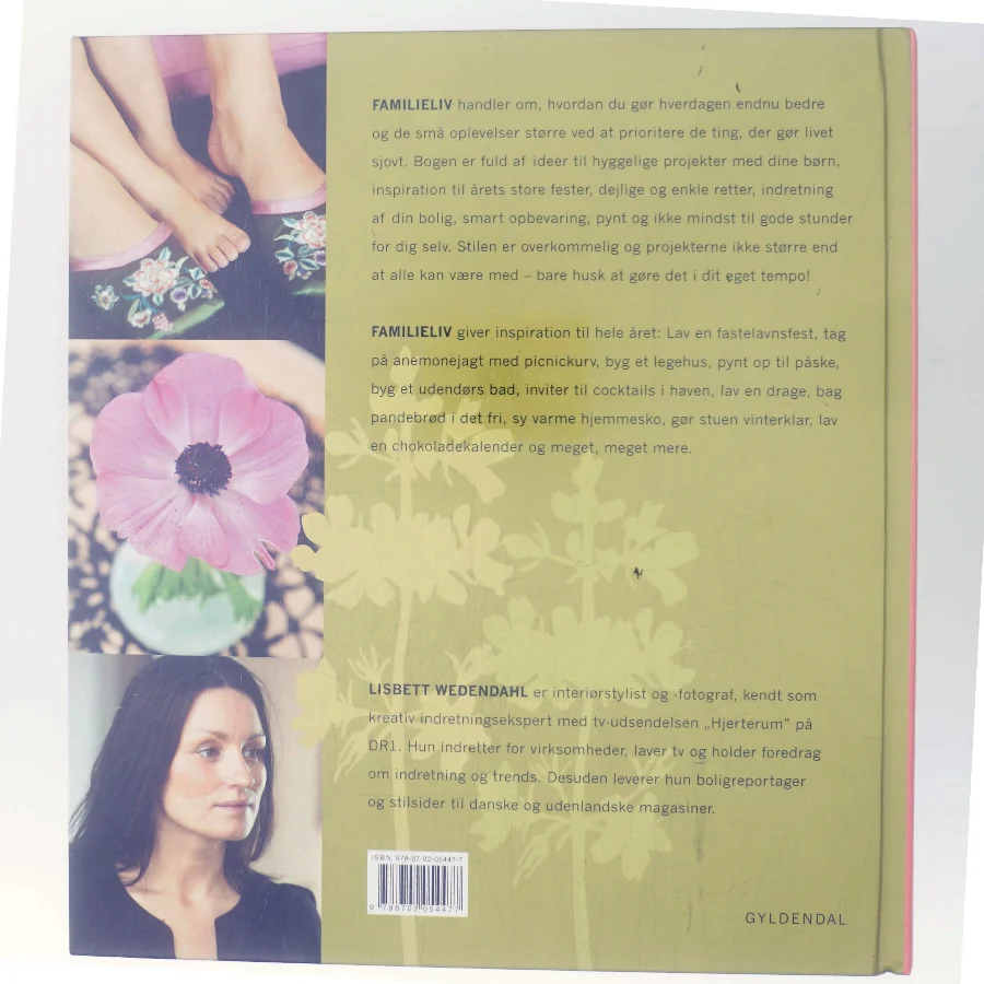 Familieliv: Aktiviteter og boligideer for store og små af Lisbett Wedendahl
