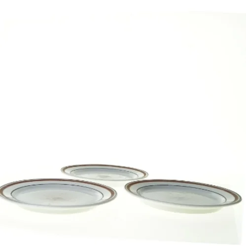 Tallerkener fra Ikea (str. 24 cm)