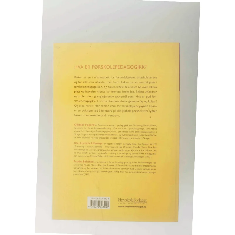 Hva er førskolepedagogikk? (Bog)