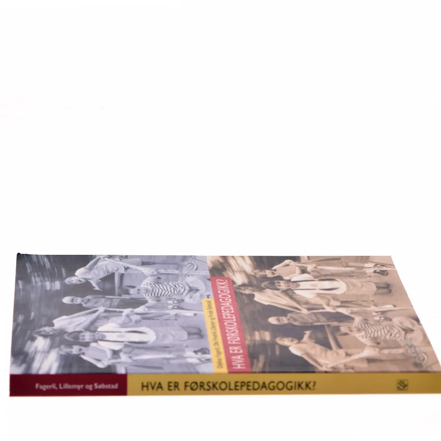 Hva er førskolepedagogikk? (Bog)