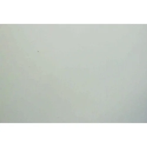 Dyrebar : Zoologisk Have og Kunstnerne (Bog)