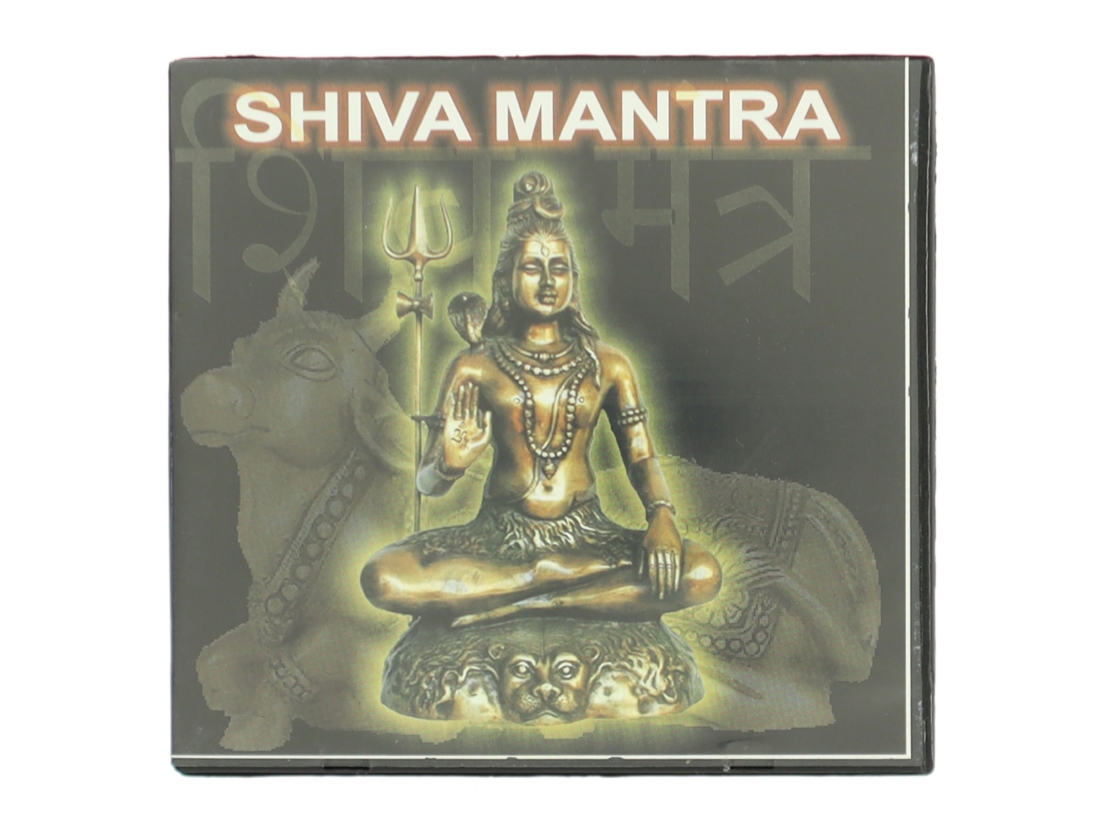 Shiva Mantra (DVD)