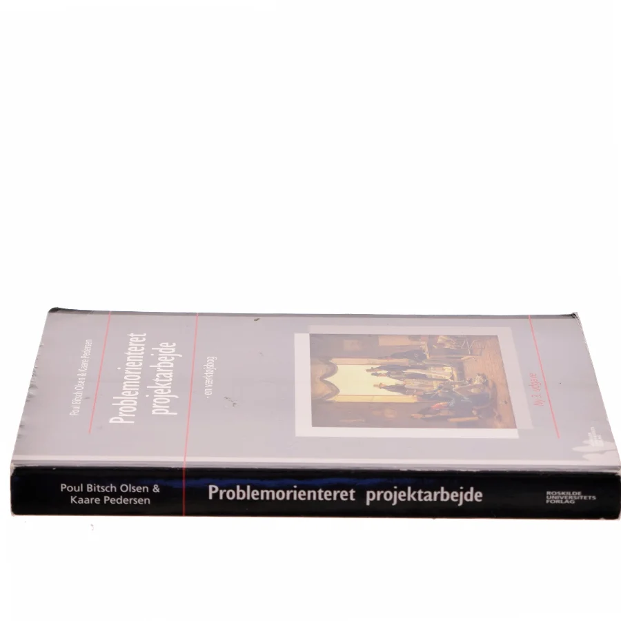 Problemorienteret projektarbejde (Bog)