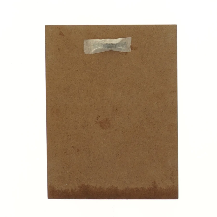 Do what you can billede (str. 24x18 cm)