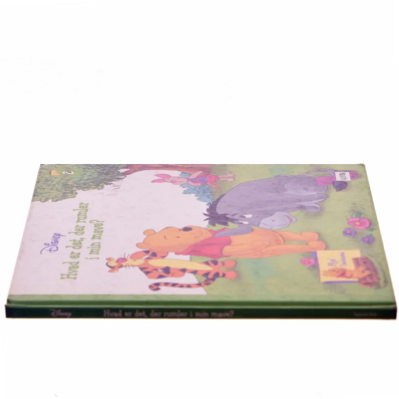 Hvad er det, der rumler i min mave? (Bog)