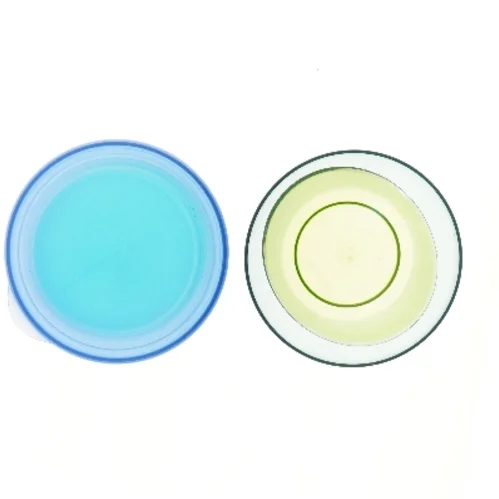 Ny Plastikskål med låg og glasskål fra Tupperware (str. Ø 23 cm)