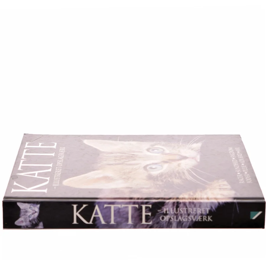 Katte : illustreret opslagsværk af Lin Esposito (Bog)