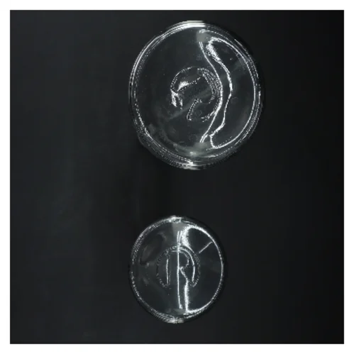 To karafler med metaltop fra Rosendahl (str. 33 og 25 cm)