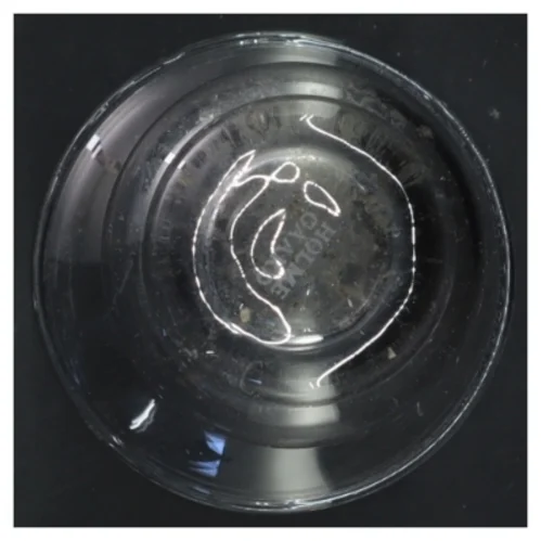 Glasvase (str. 10x14 cm)