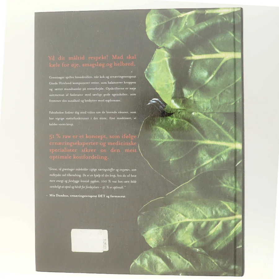 51% RAW af Ginda Hirsllund (Bog)