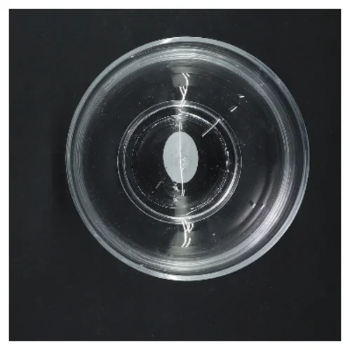 Glas skål fra La Vida (str. Ø 12,5 cm)