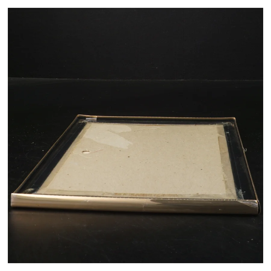 Indrammet billede med katte (str. 26x21x1 cm)