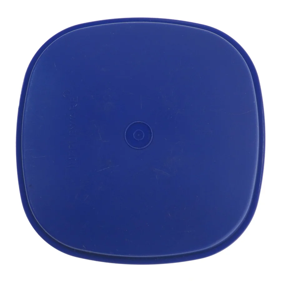  Ny Tupperware madkasse med blå låg  (str. 23x23x12 cm)