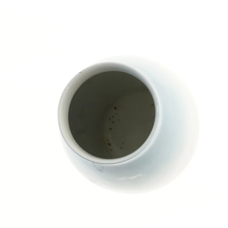 Porcelænsvase fra royal copenhagen med landskabsmotiv fra B&G (str. Ø 9x22 cm)