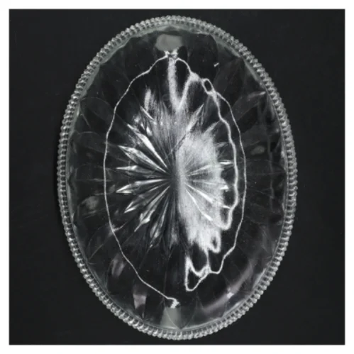 Glasfad (str. 22 x 16,5 cm)