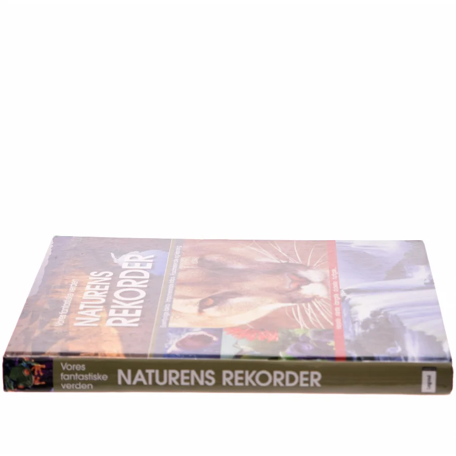 Naturens rekorder : terra maxima : vores fantastiske verden (Bog)