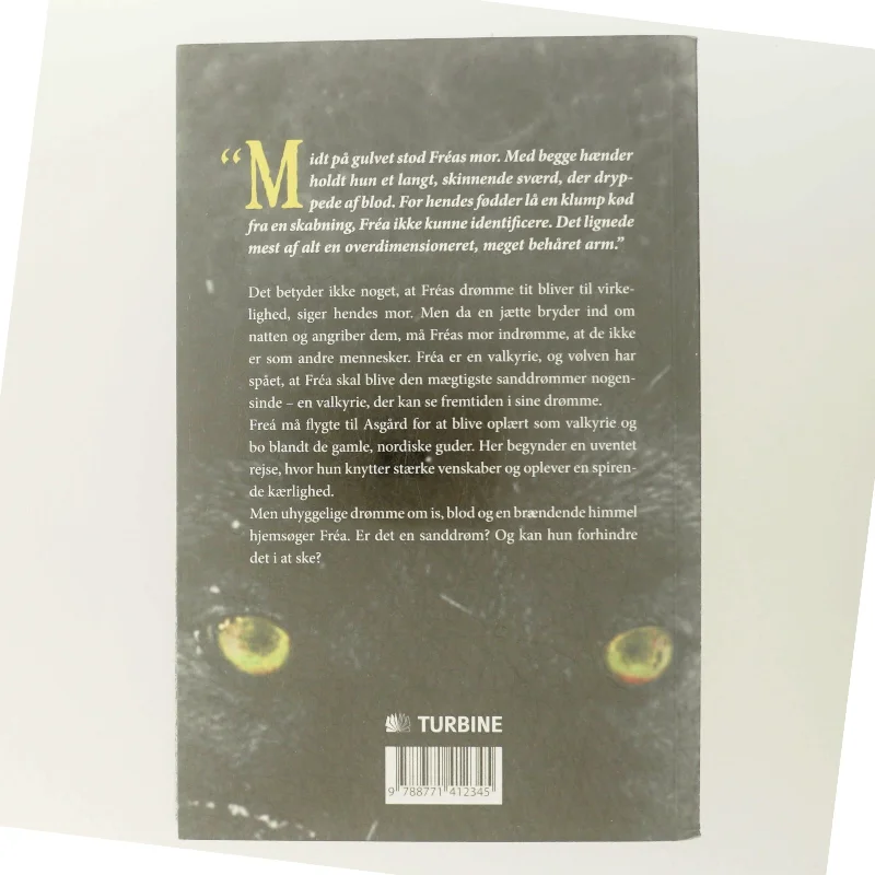 Sanddrømmeren af Sidsel Katrine Slej (Bog)