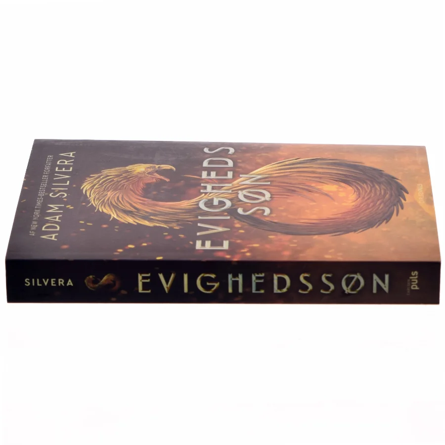 Evighedssøn af Adam Silvera (Bog)