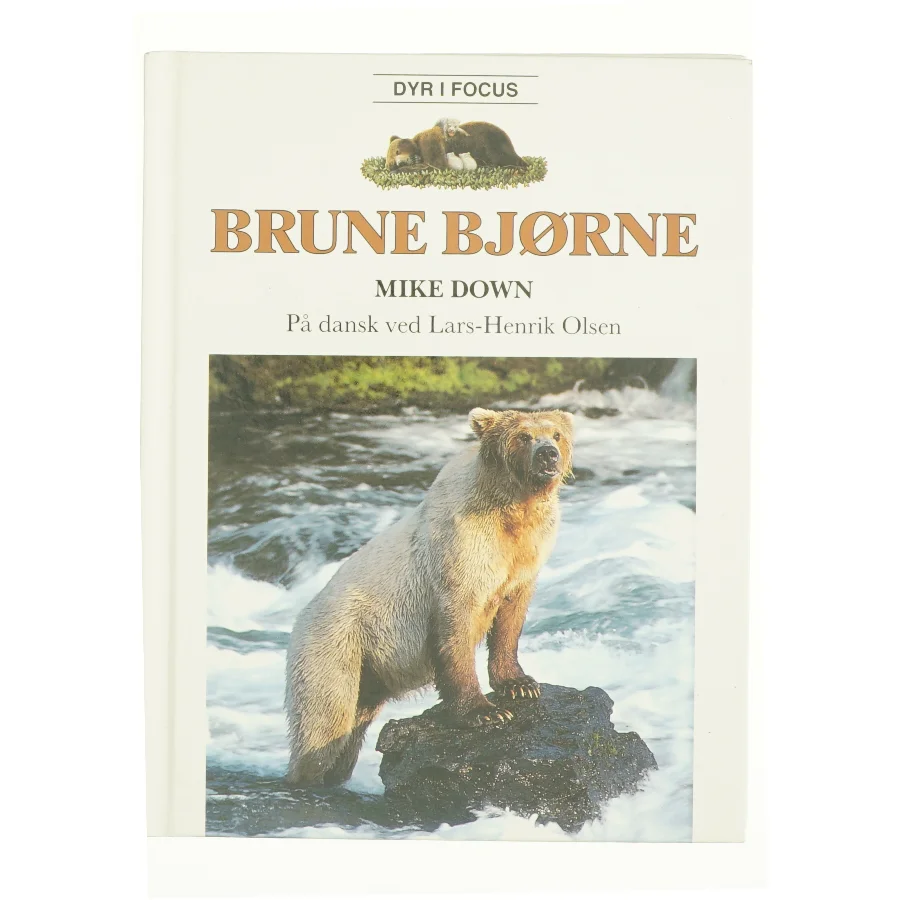 Brune bjørne af Mike Down (Bog)