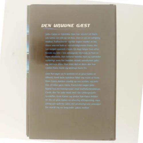 Den Ubudne Gæst af Peter Blauner (Bog)