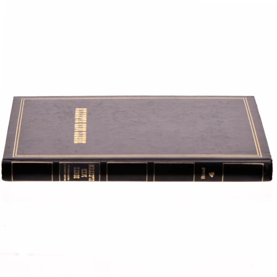 BORTE MED BLÆSTEN - BIND 4