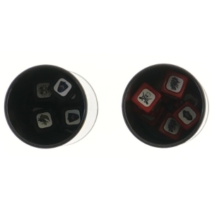 Pirates terningespil (str. 19 cm)