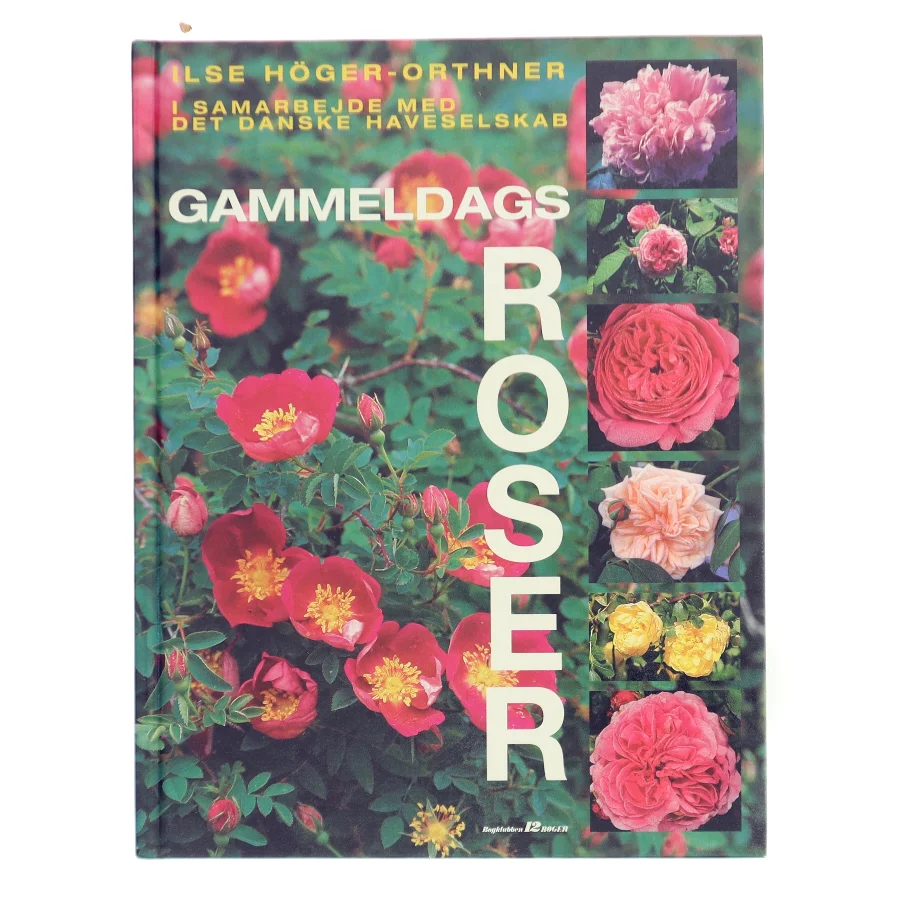 Gammeldags Roser af Ilse Höger-Orthner (Bog)
