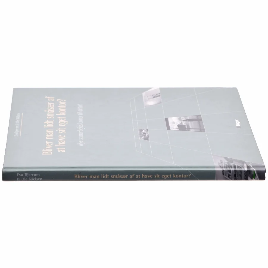 Bliver man lidt småsær af at have sit eget kontor? : nye samarbejdsformer til debat (Bog)