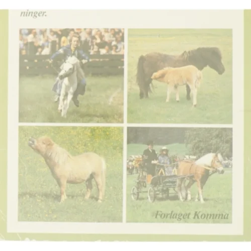 Ponyer af Herta F. Kraupa-Tuskany fra Bog