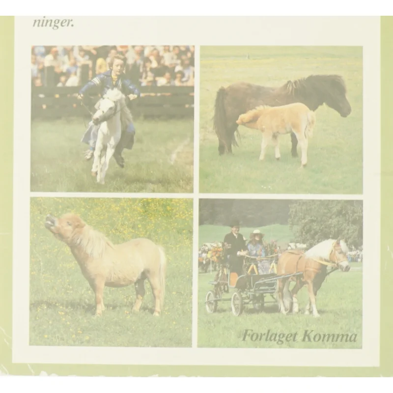 Ponyer af Herta F. Kraupa-Tuskany fra Bog