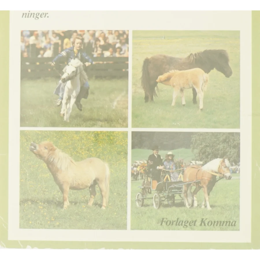 Ponyer af Herta F. Kraupa-Tuskany fra Bog