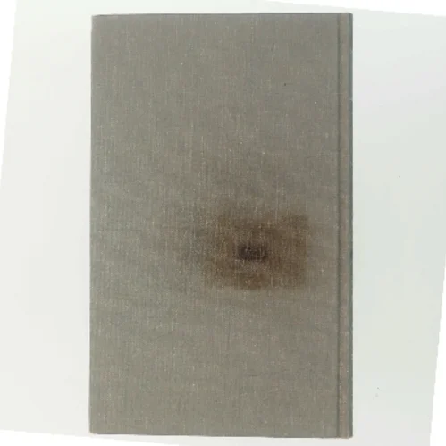 Rene Linjer af Christian Kampmann (Bog)