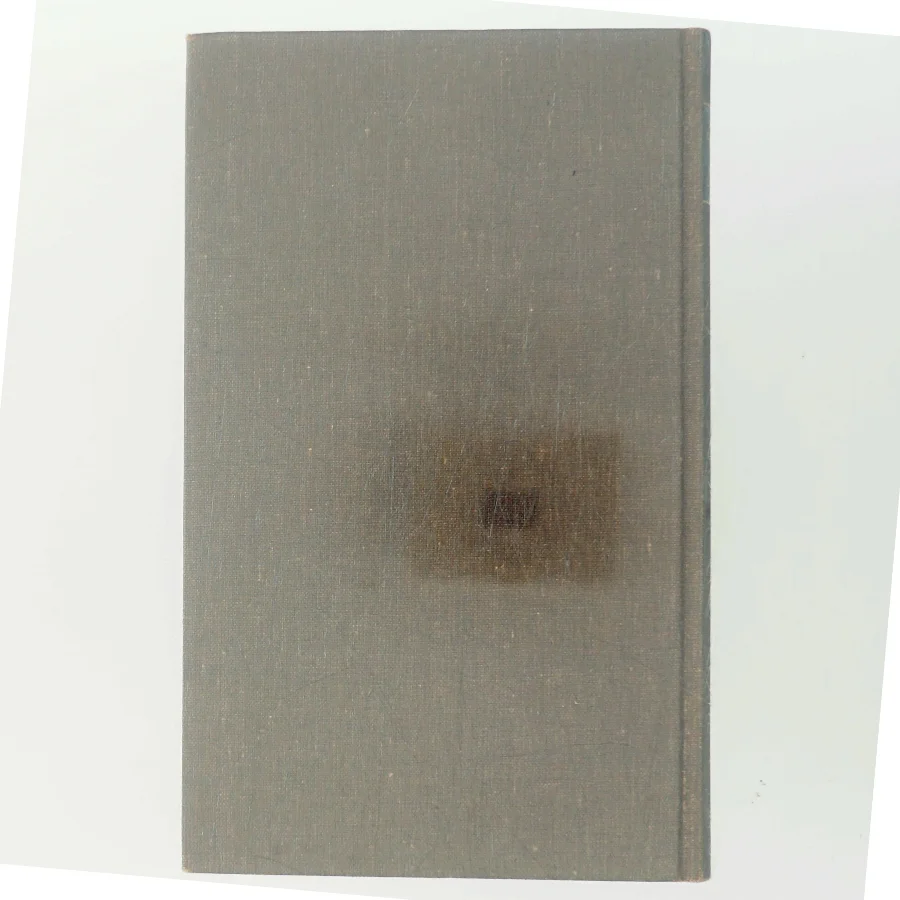 Rene Linjer af Christian Kampmann (Bog)