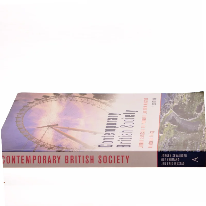 Contemporary British society (Bog)