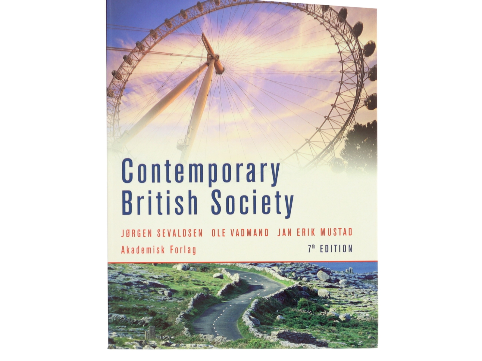 Contemporary British society (Bog)