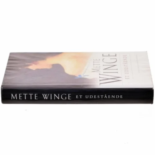 Et udestående af Mette Winge (Bog)