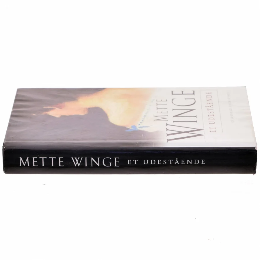 Et udestående af Mette Winge (Bog)