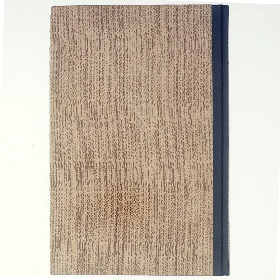 To Brødre af Irwin Shaw (bog)